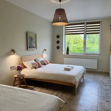 Apartamento різнотрав'я *